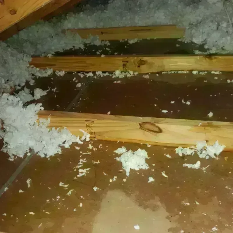 Attic Water Damage in Karnes City, TX